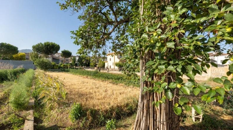 Granada - La Zubia - 1060m2
