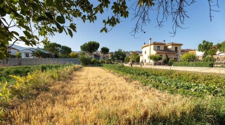 Granada - La Zubia - 1060m2