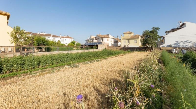 Granada - La Zubia - 1060m2