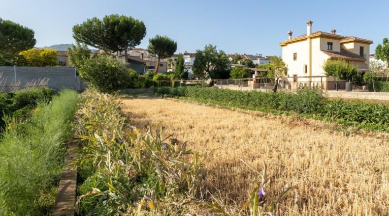Granada - La Zubia - 1060m2