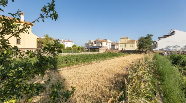 Granada - La Zubia - 1060m2