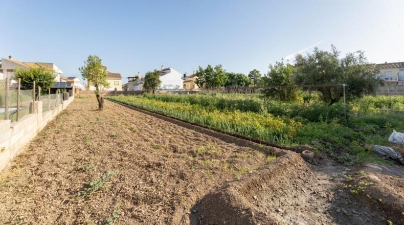 Granada - La Zubia - 1060m2