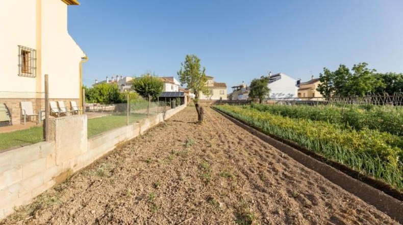Granada - La Zubia - 1060m2