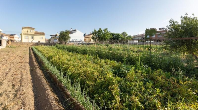 Granada - La Zubia - 1060m2