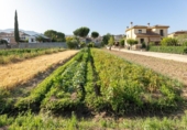 Sòl urbà en venda a la España, La Zubia, ref.: TR269371 foto