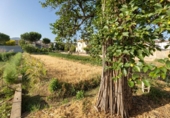 Sòl urbà en venda a la España, La Zubia, ref.: TR269371 foto