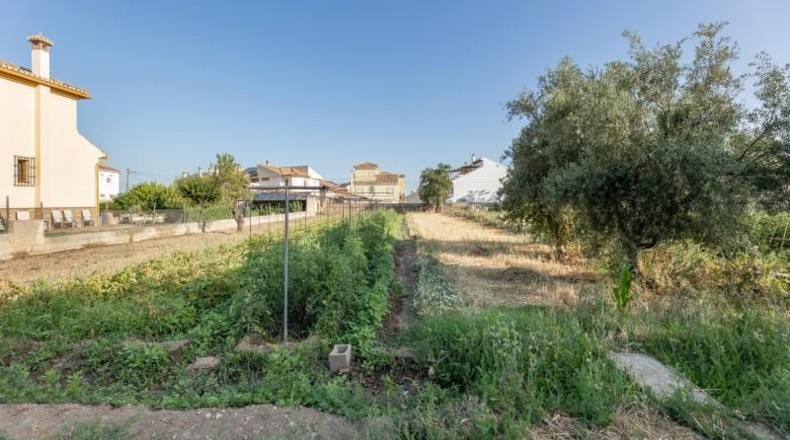 Granada - La Zubia - 1060m2