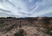 Land suitable for development for sale on España, Monóvar, ref: TR378127 photo