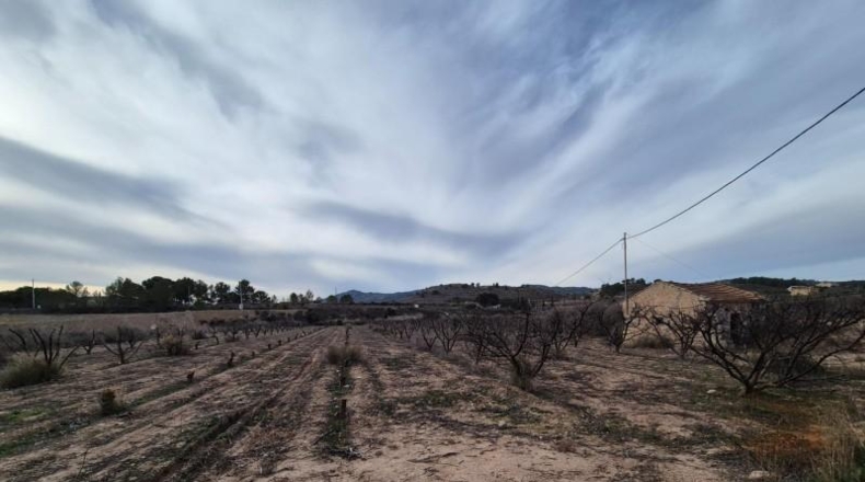 Alicante - Monòver - 25000m2