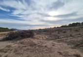 Land suitable for development for sale on España, Monóvar, ref: TR378127 photo