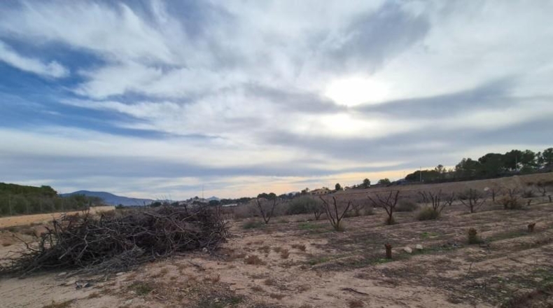 Alicante - Monòver - 25000m2