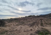 Land suitable for development for sale on España, Monóvar, ref: TR378127 photo