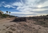 Land suitable for development for sale on España, Monóvar, ref: TR378127 photo