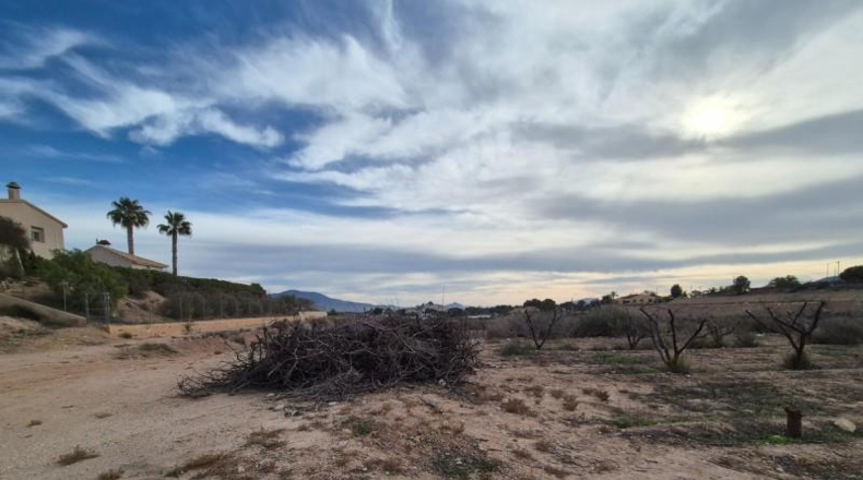 Alicante - Monòver - 25000m2