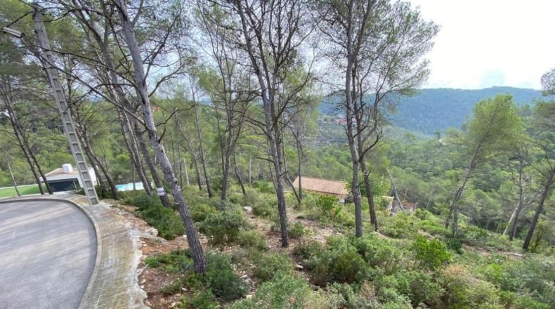 Barcelona - Оливелья - 2562m2