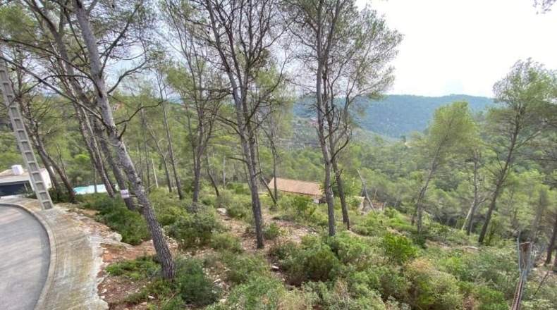 Barcelona - Оливелья - 2562m2