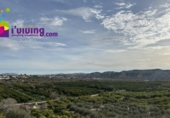 Xalet independent amb terreny en venda a la España, Arboleas, ref.: TR380861 foto