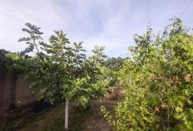 Torre de Santa María 145&nbsp;m² 