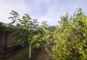 Casa de pueblo en venta en la España, Torre de Santa María, ref: TR366176 foto