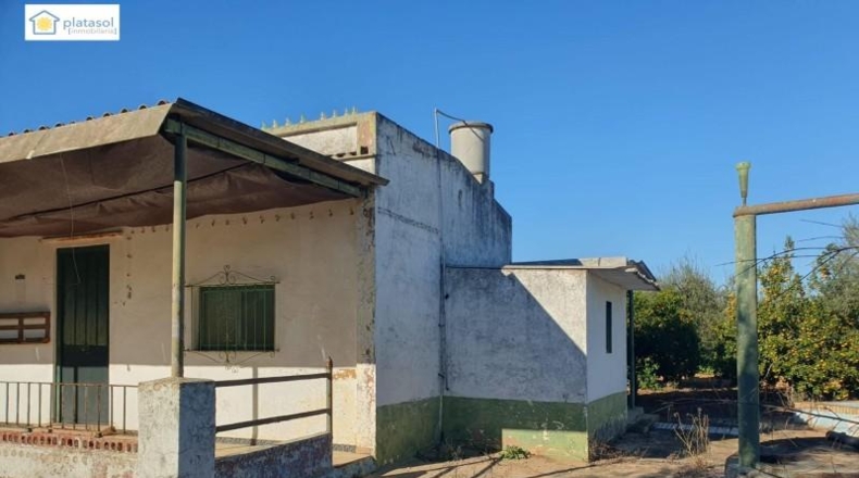 Sevilla - Aznalcázar - 22550m2