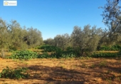 Xalet independent amb terreny en venda a la España, Aznalcázar, ref.: TR154203 foto