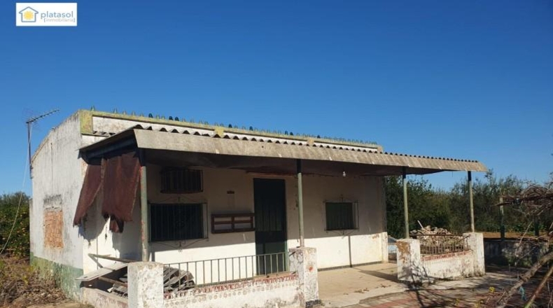 Sevilla - Aznalcázar - 22550m2