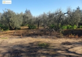 Xalet independent amb terreny en venda a la España, Aznalcázar, ref.: TR154203 foto