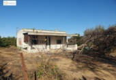 Xalet independent amb terreny en venda a la España, Aznalcázar, ref.: TR154203 foto