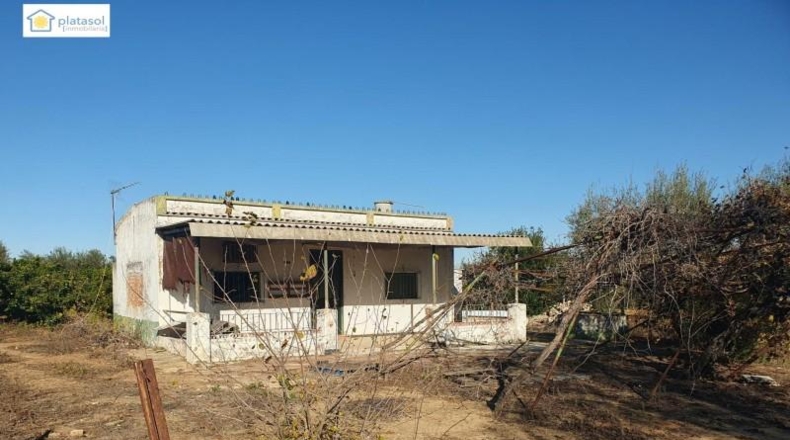Sevilla - Aznalcázar - 22550m2