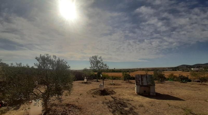 Cáceres - Cáceres - 3000m2