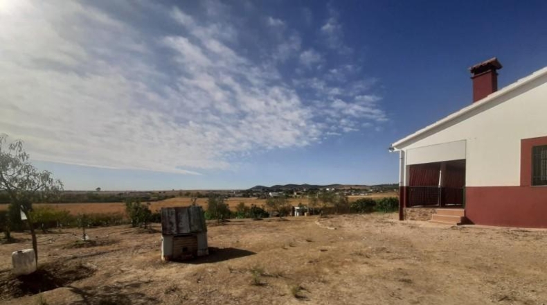 Cáceres - Cáceres - 3000m2