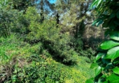 Urban land for sale on España, Torrent, ref: TR122857 photo