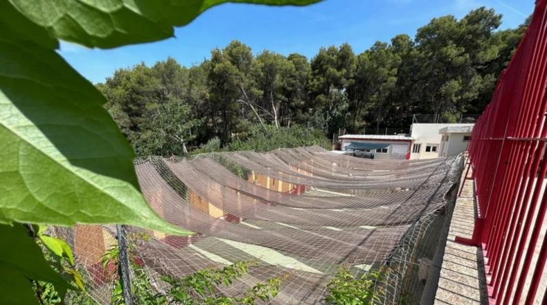 València - Torrente - 406m2