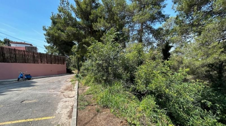 València - Torrente - 406m2