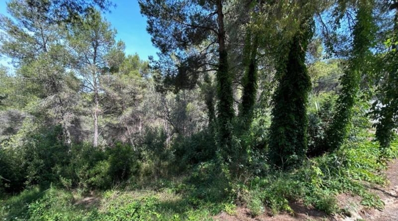 València - Torrente - 406m2
