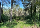 Urban land for sale on España, Torrent, ref: TR122857 photo