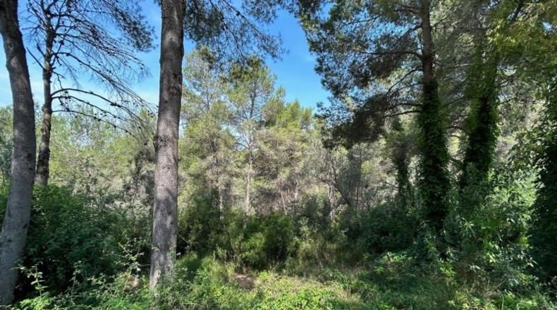 València - Torrente - 406m2