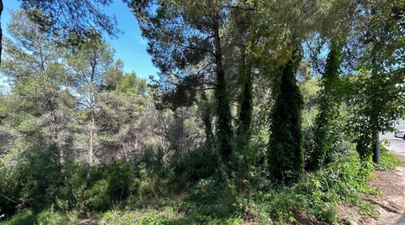 València - Torrente - 406m2