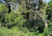 Urban land for sale on España, Torrent, ref: TR122857 photo
