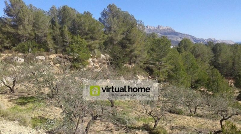 Alicante - Polop - 11196m2