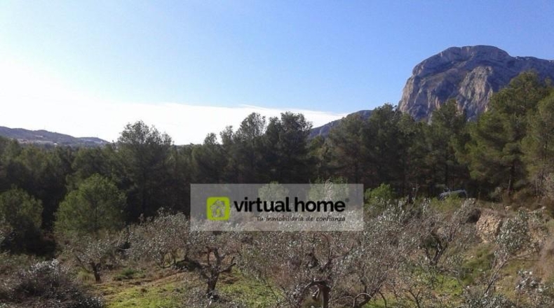 Alicante - Polop - 11196m2