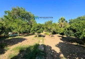 Casa de camp amb terreny en venda a la España, Benaocaz, ref.: TR172036 foto