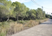Terreny no urbanitzable en venda a la España, Cubelles, ref.: TR124836 foto