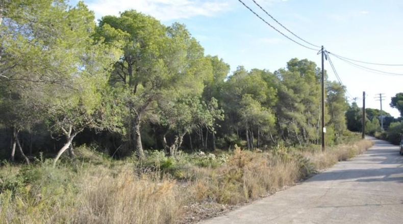 Barcelona - Cubelles - 6540m2