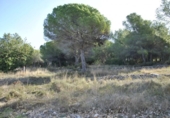 Terreny no urbanitzable en venda a la España, Cubelles, ref.: TR124836 foto