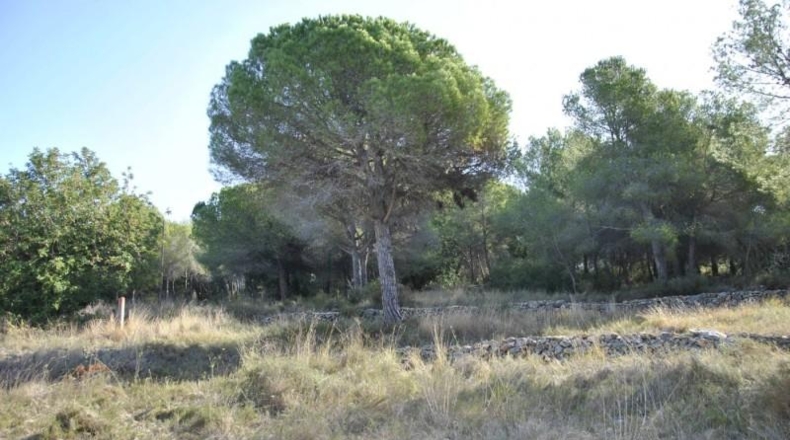 Barcelona - Cubelles - 6540m2