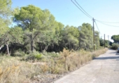 Terreny no urbanitzable en venda a la España, Cubelles, ref.: TR124836 foto