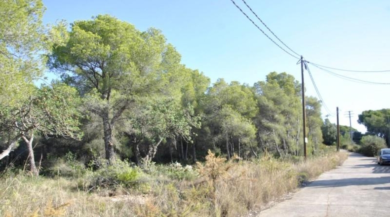 Barcelona - Cubelles - 6540m2