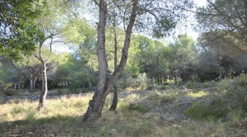 Barcelona - Cubelles - 6540m2