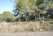 Terreny no urbanitzable en venda a la España, Cubelles, ref.: TR124836 foto